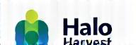 Halo Harvest Logo